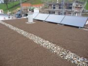 Bild 5: Auf das extensiv begrünte Flachdach ist eine aufgeständerte Solaranlage montiert (10 m2). Diese liefert die Energie für den Speicher im Keller.