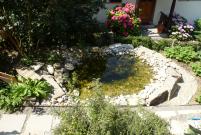 Bild 24: Ein kleines Feuchtbiotop sorgt für weiteres Leben im Gartenbereich...